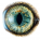 Cat Eye