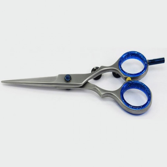 Professional Scissors 5.5'' Pilko 712 in stainless steel