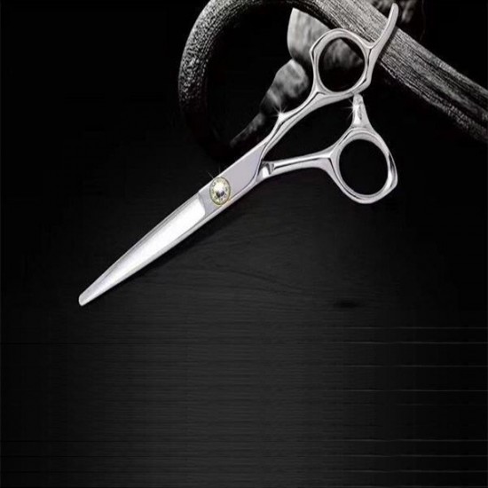 Professional Scissors 5.5'' Pro-Feel B1-55 in stainless steel