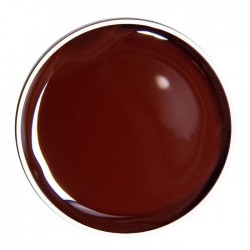 PAINTING GEL BROWN 07 10g